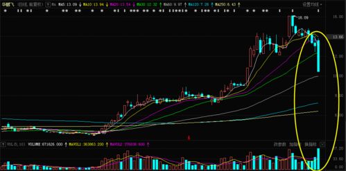 霍华德·马克斯：股票和供应芯片的英伟达已经非常热了股价上涨了数倍