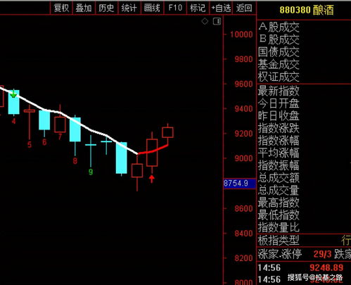 创金合信基金甘静芸：短期市场对盈利偏弱定价充分可关注大盘价值红利和科技板块