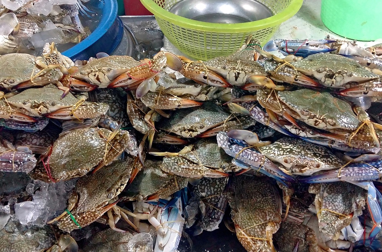 炎炎夏日，让这5款清爽家常菜拯救你的餐桌——夏季美食大赏！