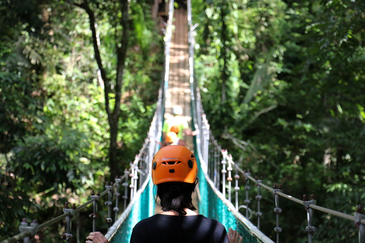 兔兔大冒险，森林的秘密与友谊的旅程