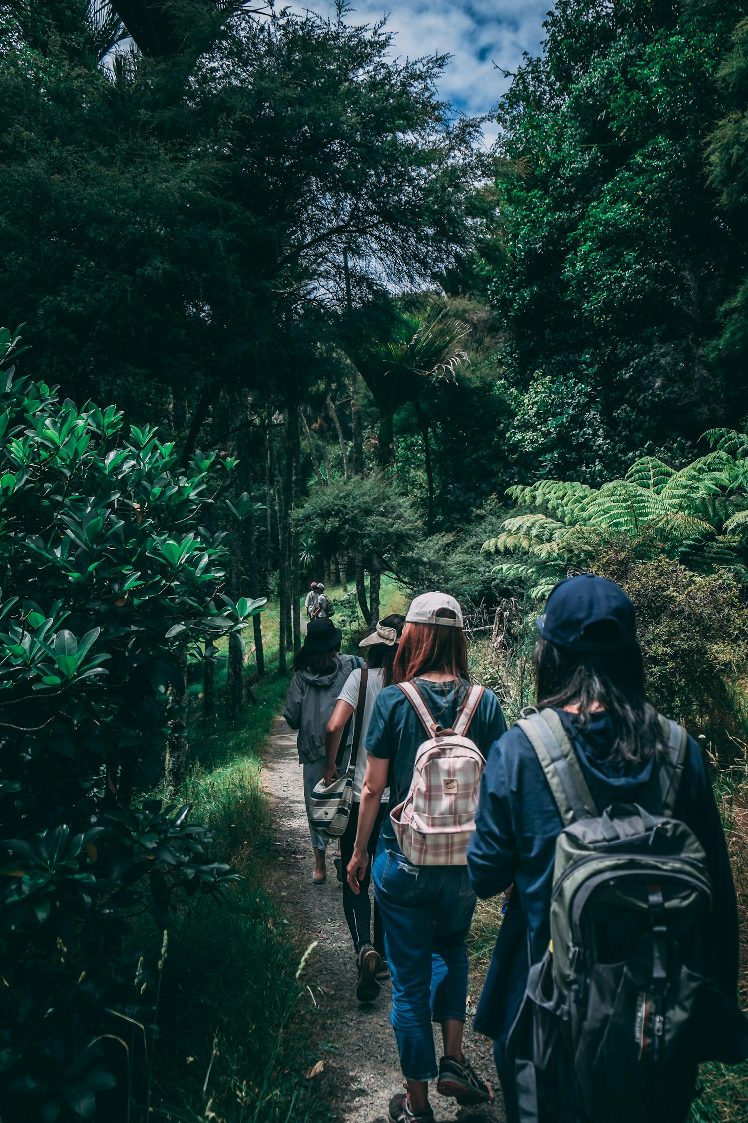 揭秘恐龙三兄弟，时光穿越的史前冒险之旅